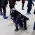 Bilder2020 - Wintersporttag
